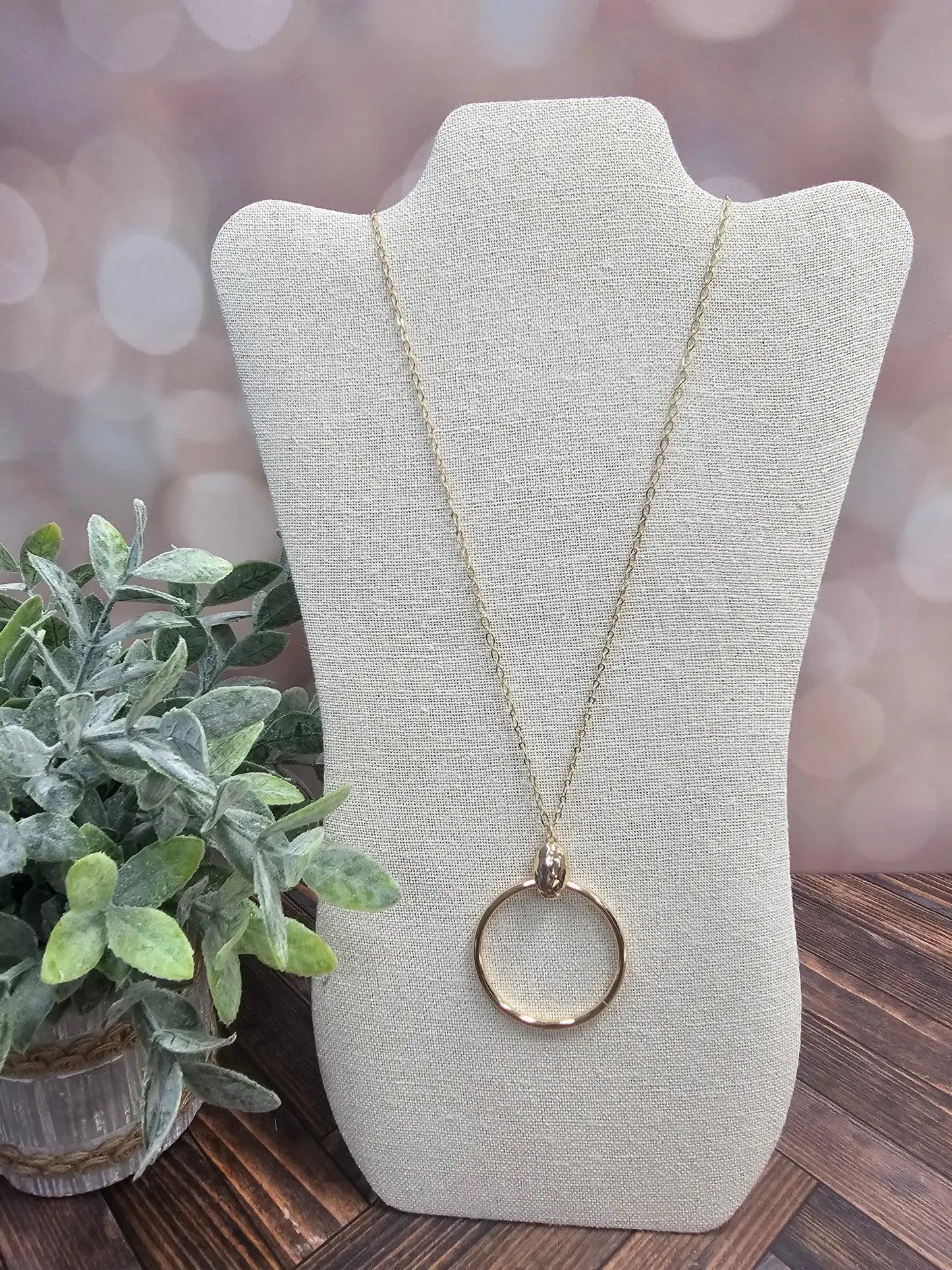 Long Chain Necklace w/Circle Pendant What's Hot