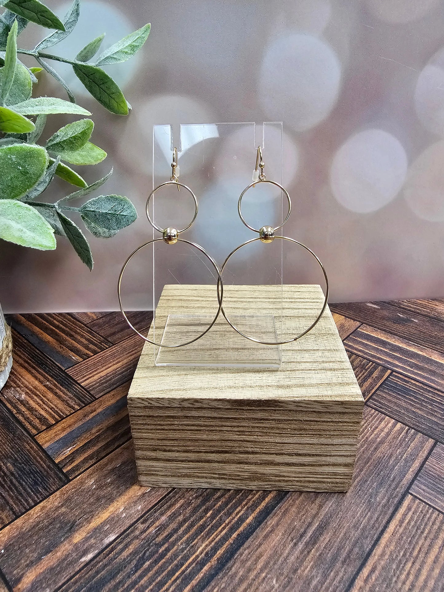 Double Circle Drop Earrings What's Hot