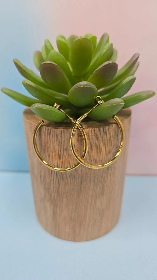 WP Thin Hoops 1" What's Hot